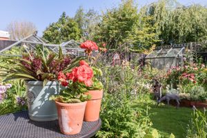 Photo 24- click for photo gallery